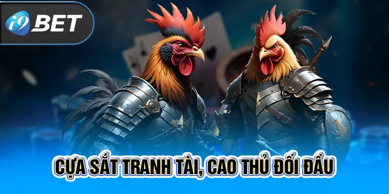 Cựa sắt tranh tài, cao thủ đối đầu