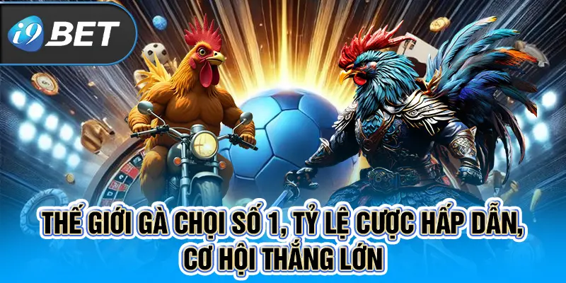 Thế giới gà chọi số 1, tỷ lệ cược hấp dẫn, cơ hội thắng lớn