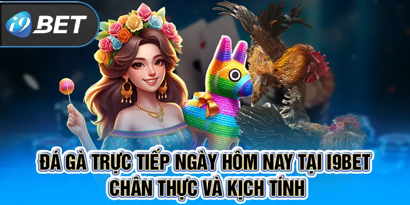 Đá gà trực tiếp ngày hôm nay tại I9BET chân thực và kịch tính