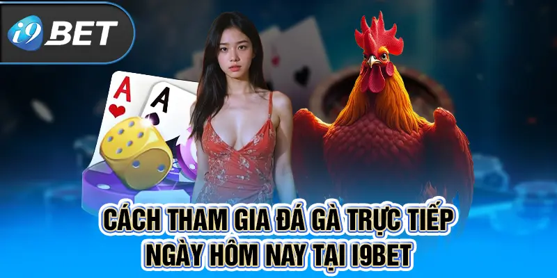 Cách tham gia đá gà trực tiếp ngày hôm nay tại I9BET