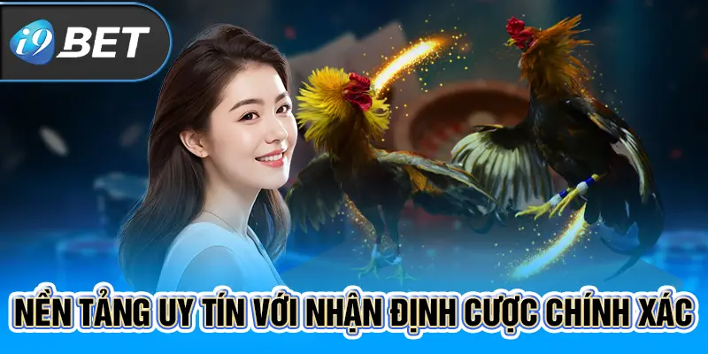 Nền tảng uy tín với nhận định cược chính xác