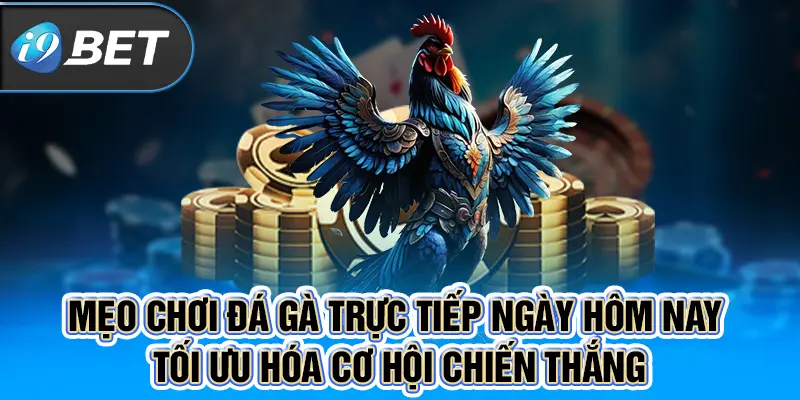 Mẹo chơi đá gà trực tiếp ngày hôm nay tối ưu hóa cơ hội chiến thắng