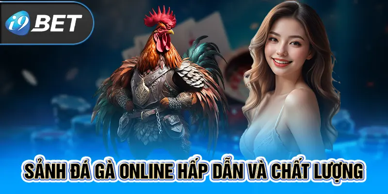 Sảnh đá gà online hấp dẫn và chất lượng