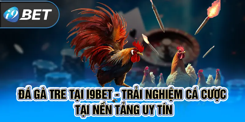 Đá Gà Tre Tại I9BET - Trải Nghiệm Cá Cược Tại Nền Tảng Uy Tín