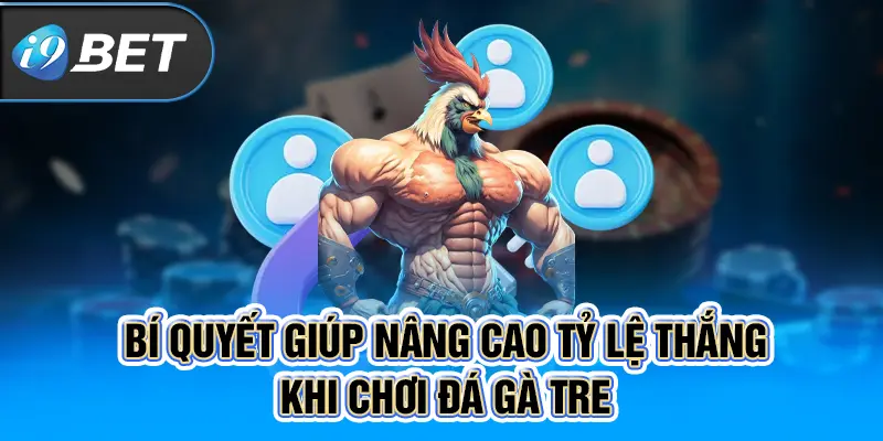 Bí quyết giúp nâng cao tỷ lệ thắng khi chơi đá gà tre